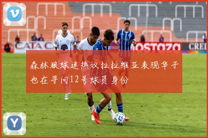 森林狼球迷热议拉拉维亚表现华子也在寻问12号球员身份
