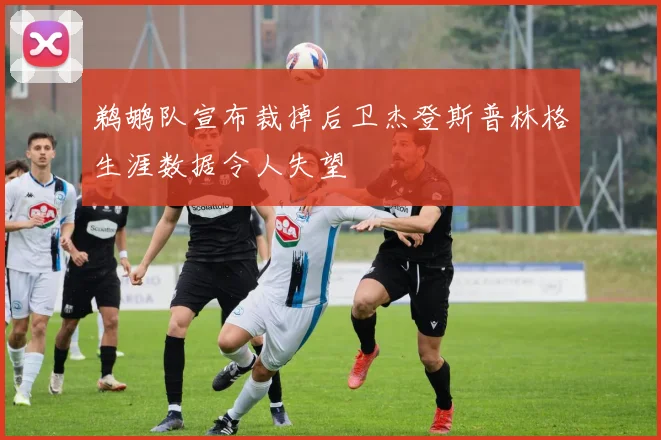 鹈鹕队宣布裁掉后卫杰登斯普林格生涯数据令人失望
