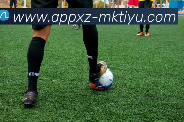 MK体育品牌故事