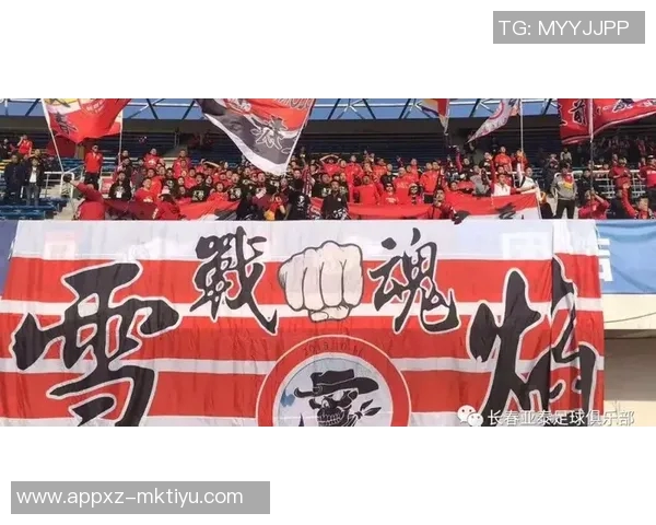 携手共进迎新篇章祝武汉三镇足球俱乐部12岁生日快乐